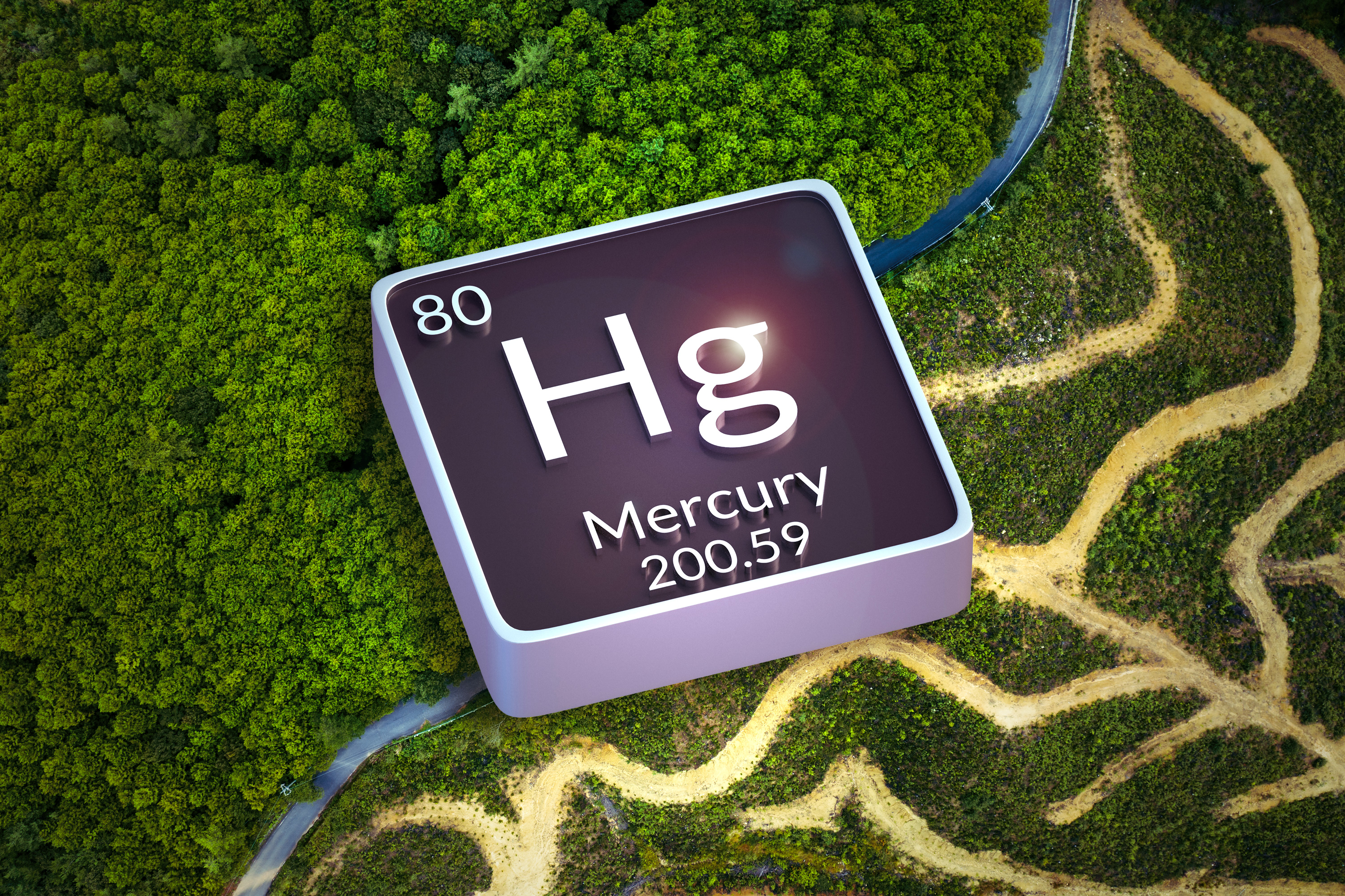 Caption :Researchers studied the impact of deforestation on the global mercury cycle and found that deforestation accounts for about 10 percent of global human-made mercury emissions. Credits :Image: MIT News; iStock Researchers studied the impact of deforestation on the global mercury cycle.