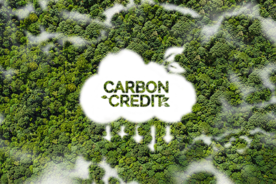 Clear, enforceable standards may make the difference in how effective carbon trading systems are in reducing global emissions. Credit: iStock How effective are carbon trading systems are in reducing global emissions?