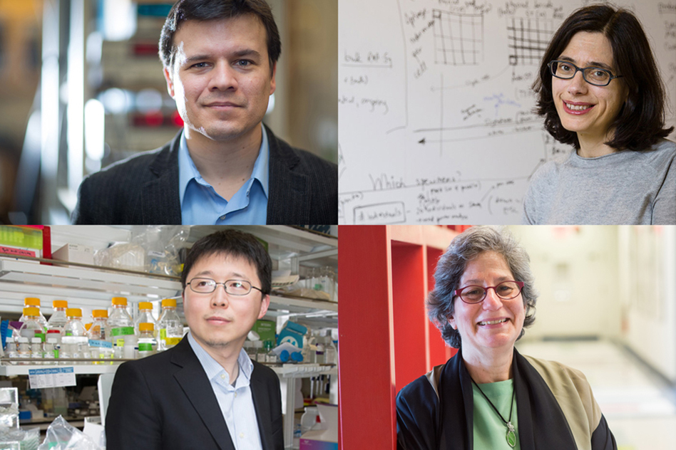 Clockwise from top left: Professor Pablo Jarillo-Herrero, recipient of the NAS Award for Scientific Discovery; Professor Aviv Regev, recipient of the James Prize in Science and Technology Integration; Professor Susan Solomon, recipient of the NAS Award for Chemistry in Service to Society; and Professor Feng Zhang, recipient of the Richard Lounsbery Award. Credits: Photos courtesy of the researchers. NASawardsheadshots_SoS_Jan2021_0_WEB.jpg