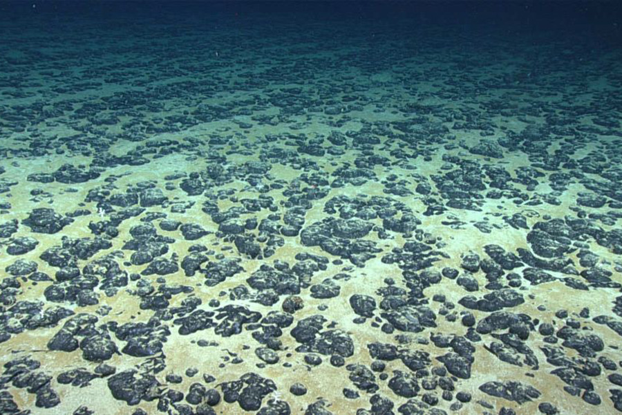 A closeup of polymetallic nodules found on the seafloor. Such nodules are rich in rare minerals such as cobalt and copper, which are used in electric vehicle batteries. (Image credit: NOAA Office of Ocean Exploration and Research, 2019 Southeastern U.S. Deep-sea Exploration) Paltsev_LIveScience_WEB.jpg