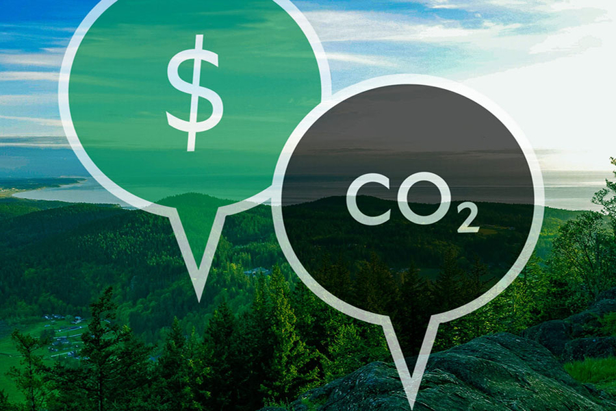 Image: Amanda Griffiths/Climate XChange Pricing-Nature_WEB_0.jpg