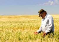 Our optimism is rooted in the ingenuity of the world’s farmers.