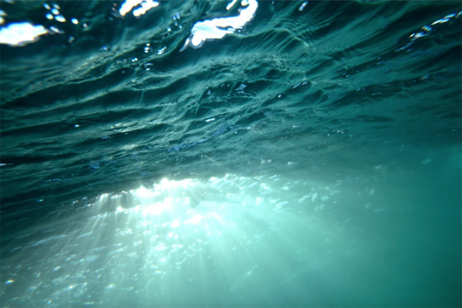 Photo: New MIT research describes how marine microorganisms contribute to a layer of nitrite just below the ocean's sunlit zone. ocean-light_0_PHOTO.jpg