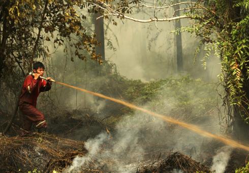 Wildfires in Southeast Asia significantly affect the moods of people in many neighboring countries