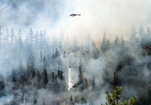 As the Earth’s climate changes, larger and longer-burning wildfires are sending smoke farther from their source, often to places that are unaccustomed to the exposure. Credits :Image: iStock MIT_Wildfires-01_WEB.jpg