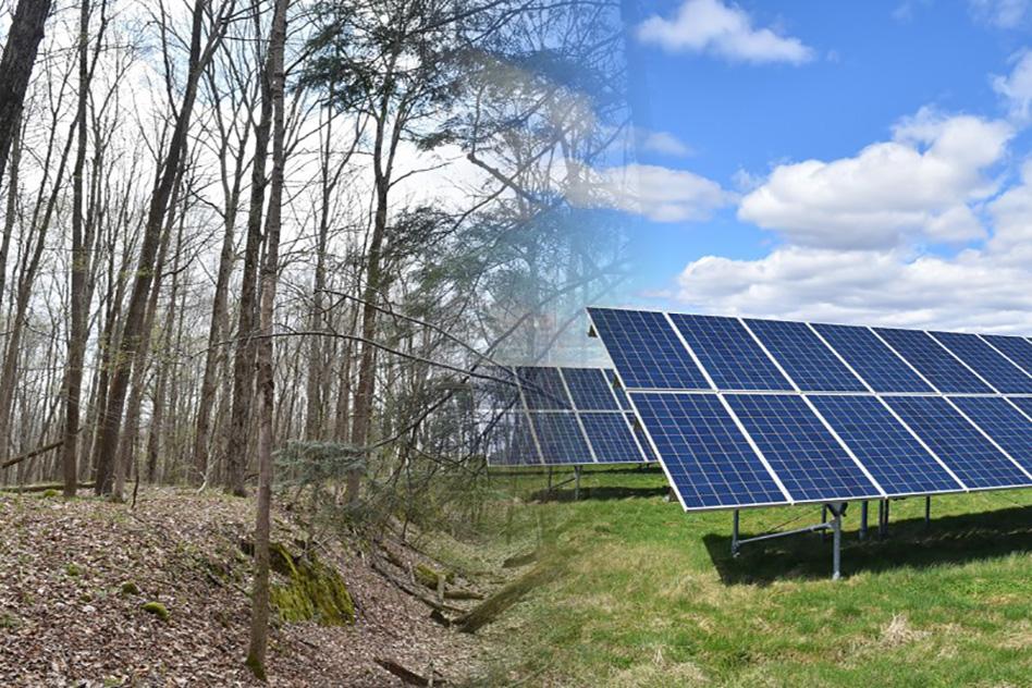 Woods in Pittsfield, Massachusetts, where a solar farm has been proposed (L), and a solar array in Monson, Massachusetts (R). Photographs by Craig LeMoult, Illustration by Emily Judem/WGBH News Reilly_WGBH_WEB.jpg