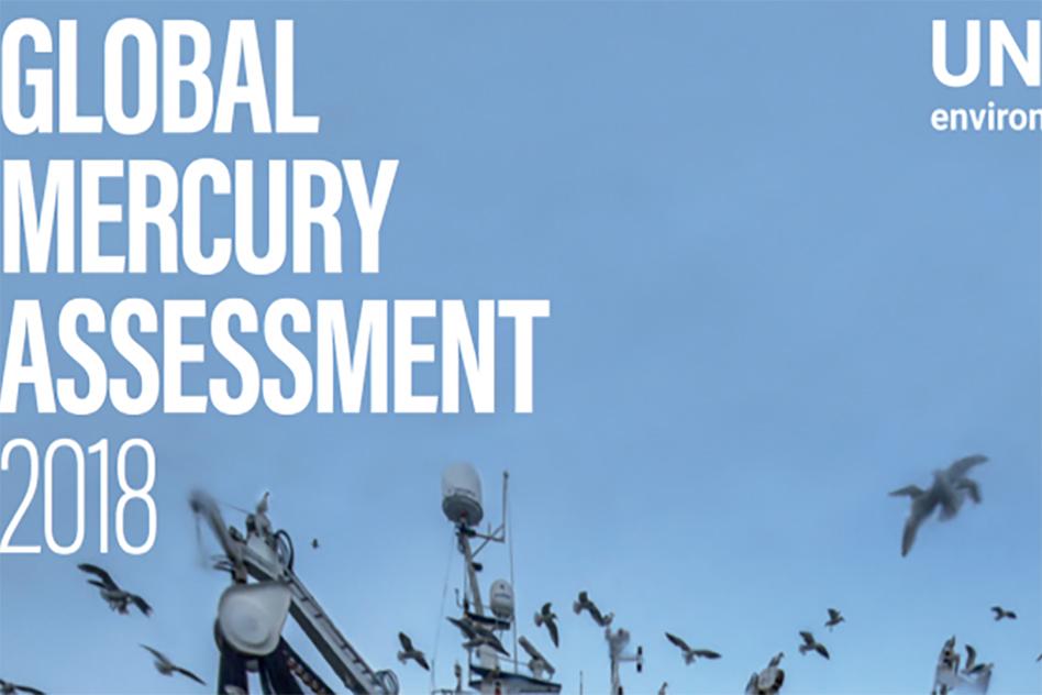 Selin_UN Mercury Assessment_WEB.jpg 