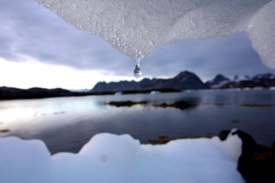 Climate Risk Disclosure Panel.jpg