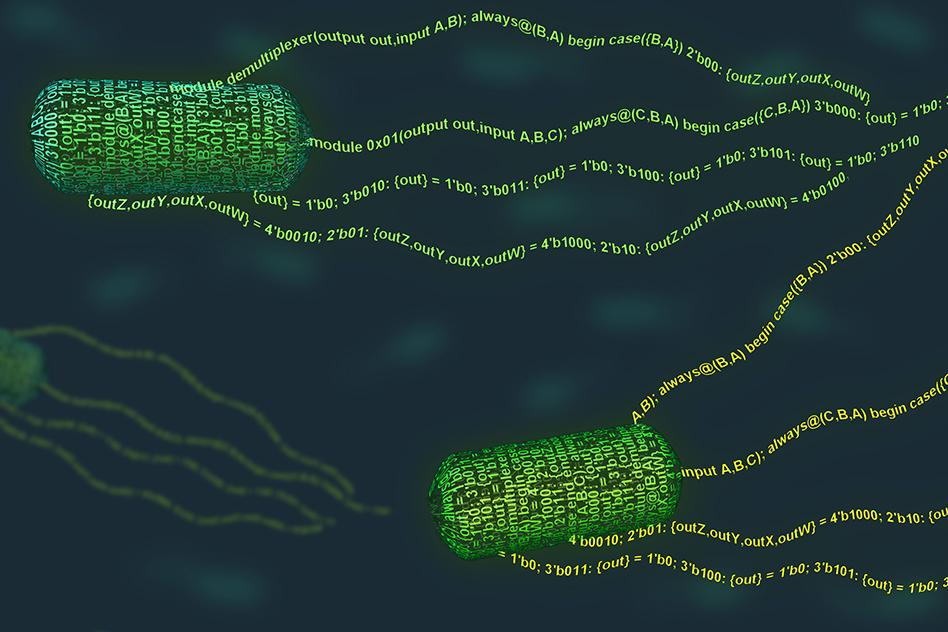 MIT-Program-Bacteria-press_WEB.jpg 